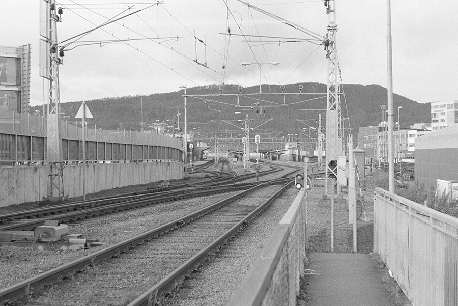 263829