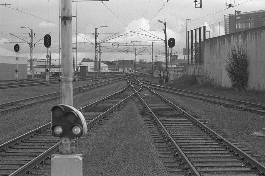 263833